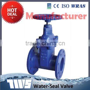 risiing stem plain gate valve