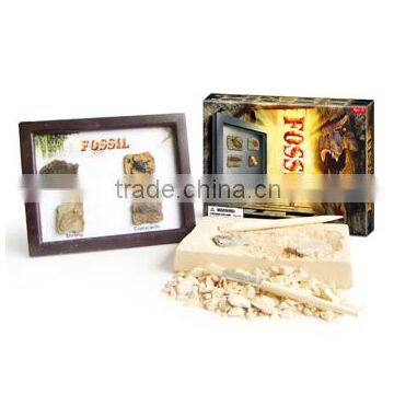 Fossil Photo Frame Dig Kit, 4 assorted, 12pcs per display.