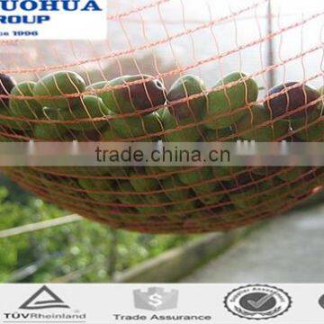 Agriculture HDPE Olive Net