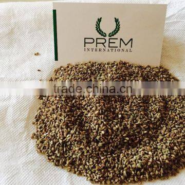 Ajwain Seed