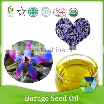 factory supply refined borage seed oil/natural vegetable oil