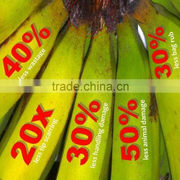 UV Stabilizer Protective Bag for Banana