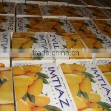 Mango The King of Fruits