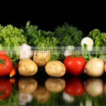 China fresh fruits and fresh vegetables