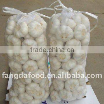 competitive price for garlic