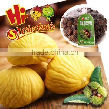 Organic fresh chinese chestnuts for sale