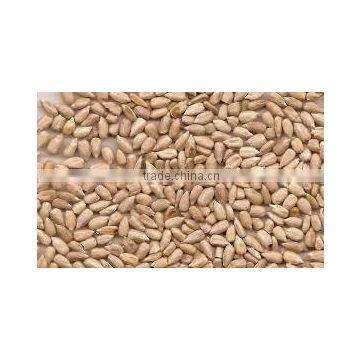 confectionary grade organic sunflower seeds kernels