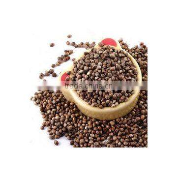 Manufacture Whlolesale High Quality Organic Hemp Seed Oil Beauty Skin photo-4