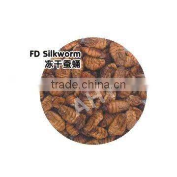 Freeze Dried Silkworm