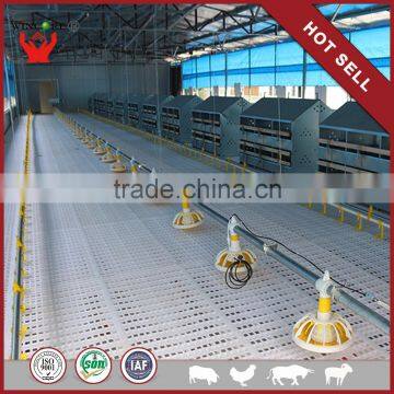Automatic poultry chicken farm equipment for broilers and breeders
