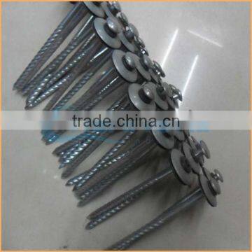 Top Quality Common Wire Nails / Roofing Nails / Galvanized Concrete Nails Trusted Chuanghe Suppliers From Com photo-5