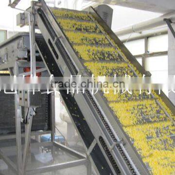 Sweet Corn Processing Machine IQF Frozen Line photo-6