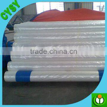 Supply 2016 LDPE Greenhouse Film for Table Grape Cover, Woven or Blow Molding Greenhouse Film,anti Hail/rain Protection Cover photo-6