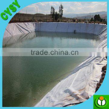 High Quality Membrane Waterproofing, Low Price Pond Liner/fish Pond Liner photo-4