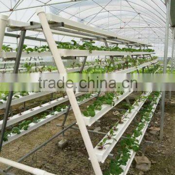 Vertical Hydroponics System photo-2
