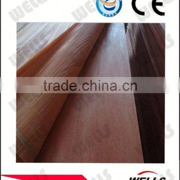 Factory Supply Good Quality 4'*8'0.3mm Rotary Veneer Okoume Face Veneer