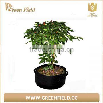 Durable High Quality Felt Root Tree Planting Bag Supplier,nursery Grow Bag photo-6