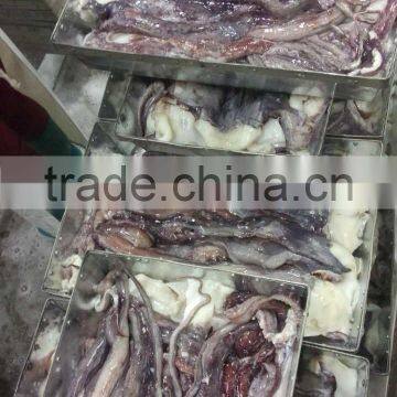 Frozen Squid Tentacle Of ILLex Squid photo-3