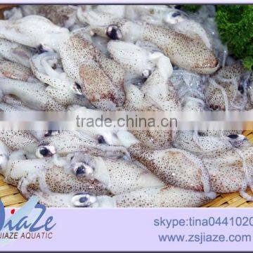 Frozen Seafood Baby Squid photo-3