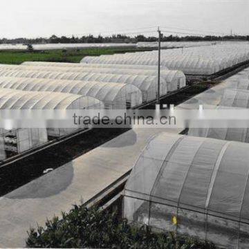 Hot Sale Film Covering Tunnel Strawberry Greenhouse photo-3
