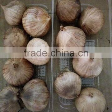 Delicious Naturally Organic Solo Black Garlic in Organic Vegetables--HC Company photo-2