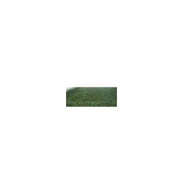 indoor grass mat flooring for roof garden