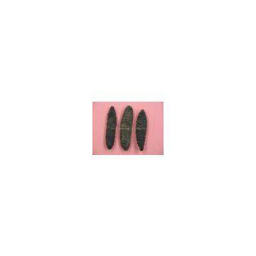 Dried Sea Cucumbers