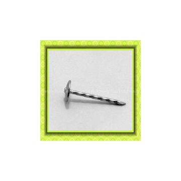 Galvanized Umbrella Head Roofing Nails photo-2