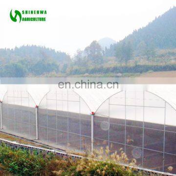 Low Cost Hot-Selling Agricultural Plastic  Greenhouse