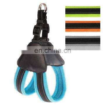 pet dog collar harness