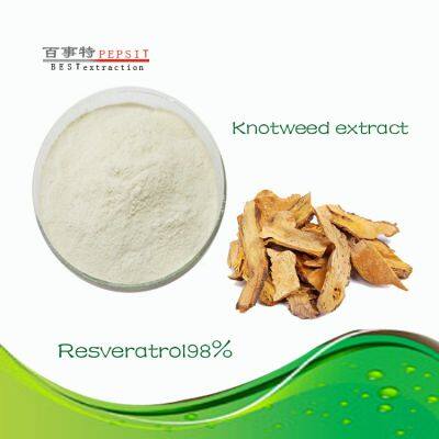 98% of resveratrol extracted from natural plant Polygonum cuspidatum can be used for sweet supplement