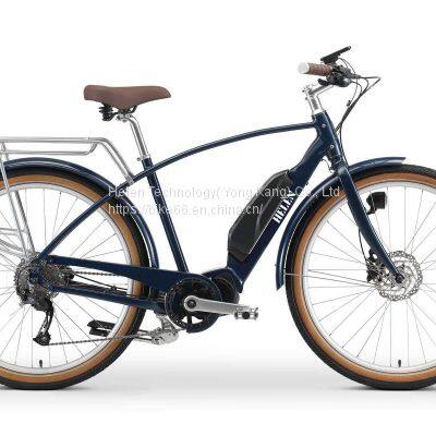 250/500 Watt Motor Electric Bicycles with Rear Rack