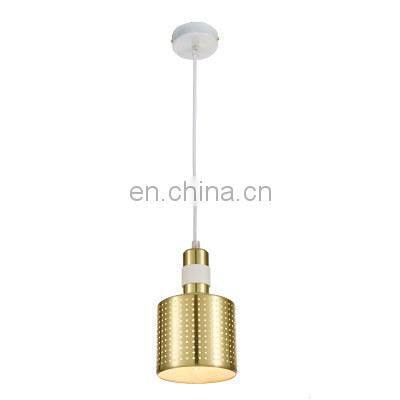 Modern Simple Lighting Indoor Decoration Lamp Chandelier Lamp Metal Chandelier Pendant LED Lighting photo-4