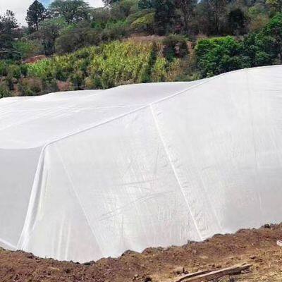 Factory Supply High Quality Net Protector Anti Virus