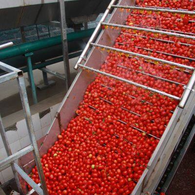 2025 Crop Concentrated Tomato Paste photo-4
