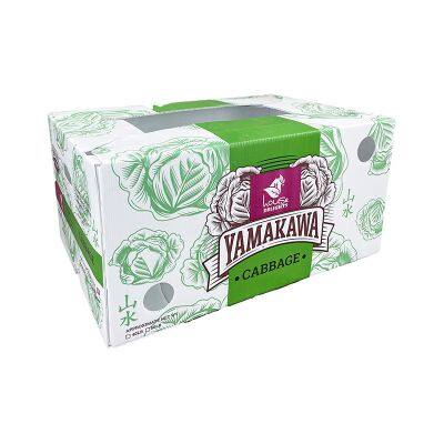 Wholesale Corrugated Plastic / Coroplast Boxes for Fruit and Vegetable