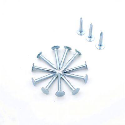 1“ Galvanized Roofing Clout Nails 1kg Box - Standard Compliant for Professional Roofing photo-5