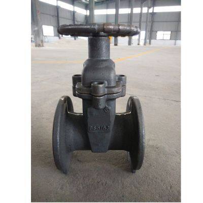 DIN Resilient Gate Valve Ductile /Cast Iron WCB A216 GGG50 PN16 Metal Seat Soft Seal Flange Lifting Manual Brass Seal DN1600 photo-5