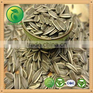 High Quality Sunflower Seeds Market Price