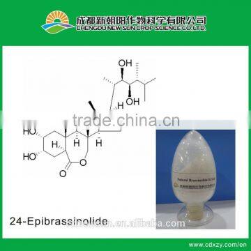 Plant growth enhancer brassinolide/Epibrassinolide/24-Epibrassinolide