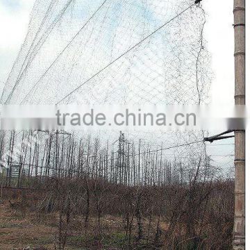 Guangzhou city anti bird net