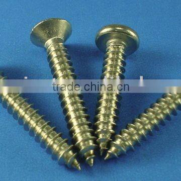 Self Tapping Screw