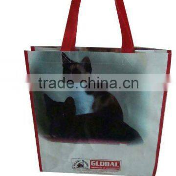 pp woven lamination shopper bag