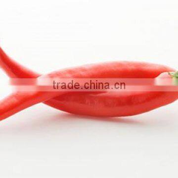 red small chili