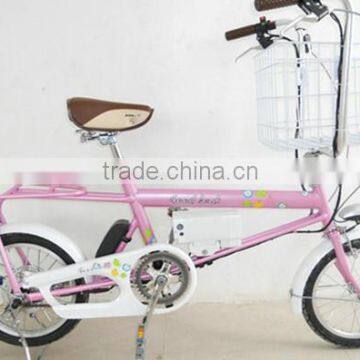 20 inch pet's electric bicycle e-bike special usage(Model PET20U)