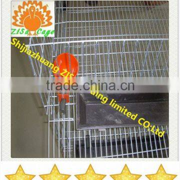 poultry quail feeder drinker