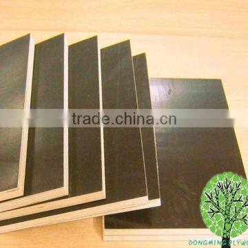 laminated Marine Plywood