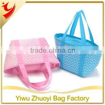 Shinning Alu Foam Fresh Fruit Bag, Lunch Box Bag for Kids