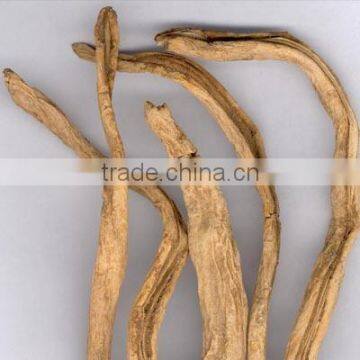 Stenona Root Extract