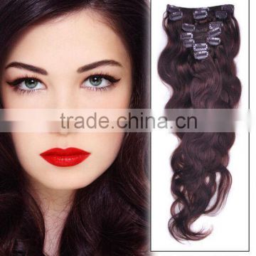 clip on hair extension/clip-on human hair/hair extension/100% human hair/clip hair/hair products